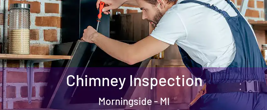 Chimney Inspection Morningside - MI
