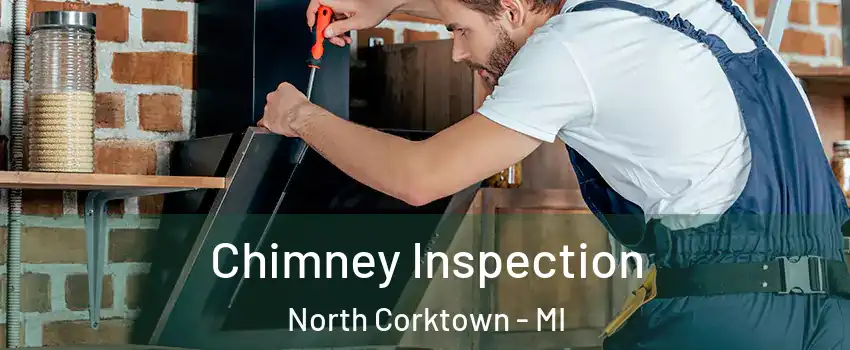 Chimney Inspection North Corktown - MI