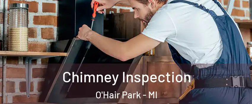 Chimney Inspection O'Hair Park - MI