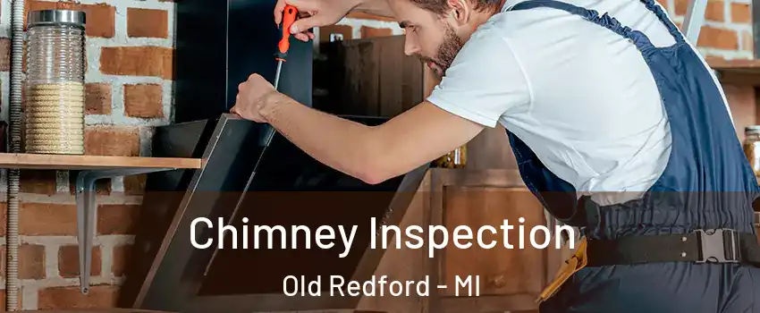 Chimney Inspection Old Redford - MI
