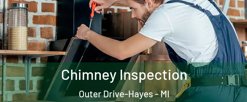 Chimney Inspection Outer Drive-Hayes - MI