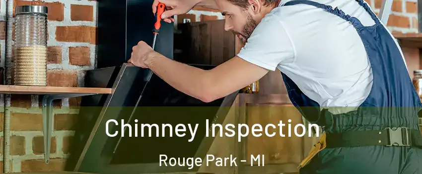 Chimney Inspection Rouge Park - MI