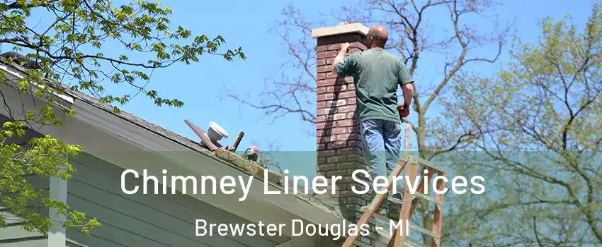 Chimney Liner Services Brewster Douglas - MI