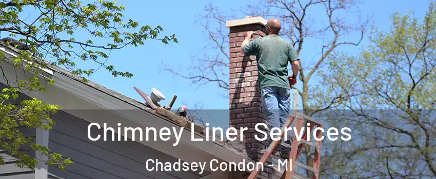 Chimney Liner Services Chadsey Condon - MI
