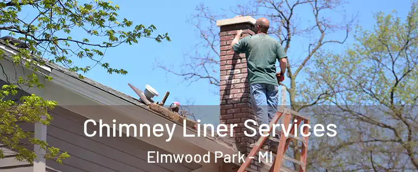 Chimney Liner Services Elmwood Park - MI