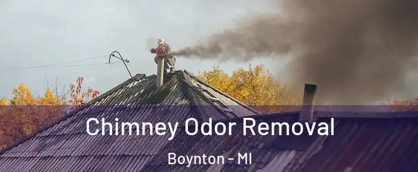 Chimney Odor Removal Boynton - MI