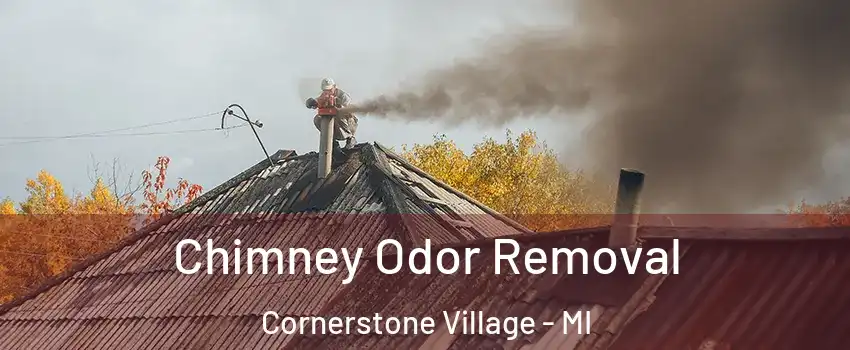 Chimney Odor Removal Cornerstone Village - MI