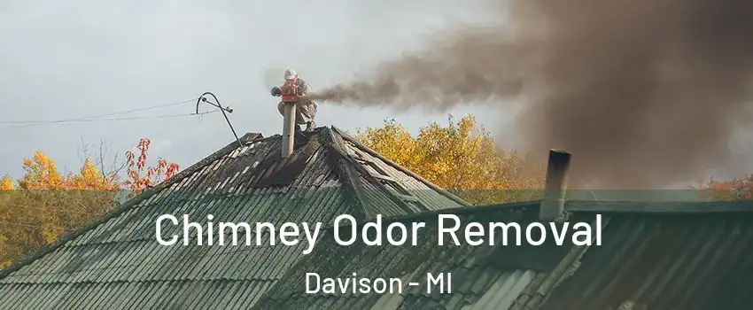 Chimney Odor Removal Davison - MI