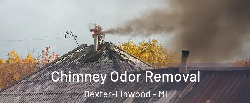 Chimney Odor Removal Dexter-Linwood - MI