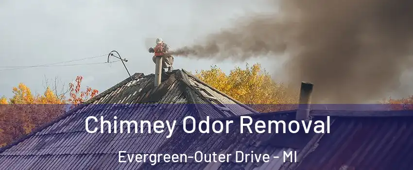 Chimney Odor Removal Evergreen-Outer Drive - MI