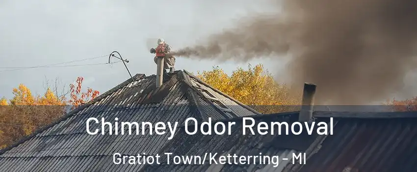 Chimney Odor Removal Gratiot Town/Ketterring - MI