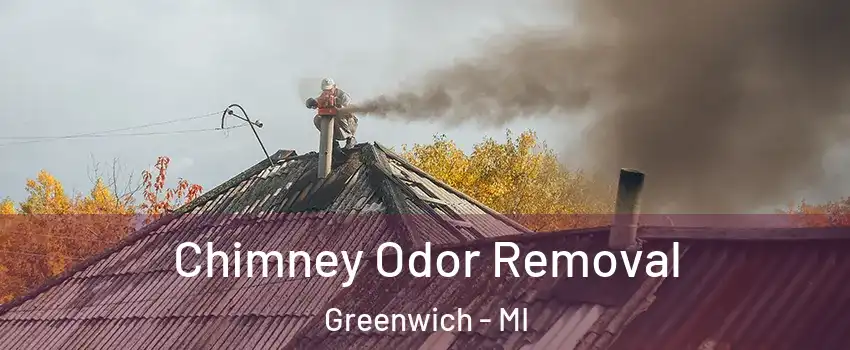 Chimney Odor Removal Greenwich - MI