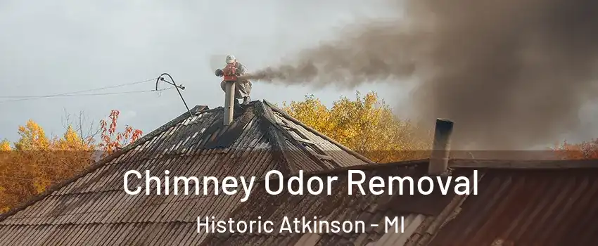 Chimney Odor Removal Historic Atkinson - MI