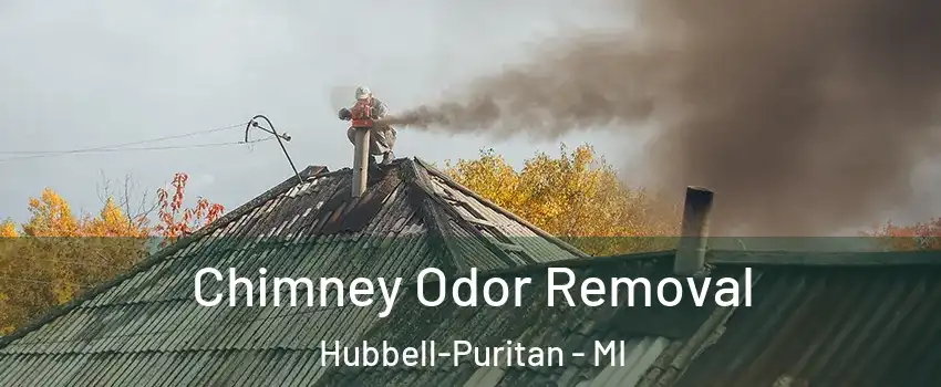 Chimney Odor Removal Hubbell-Puritan - MI