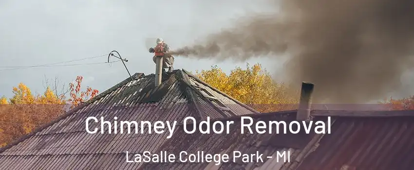 Chimney Odor Removal LaSalle College Park - MI
