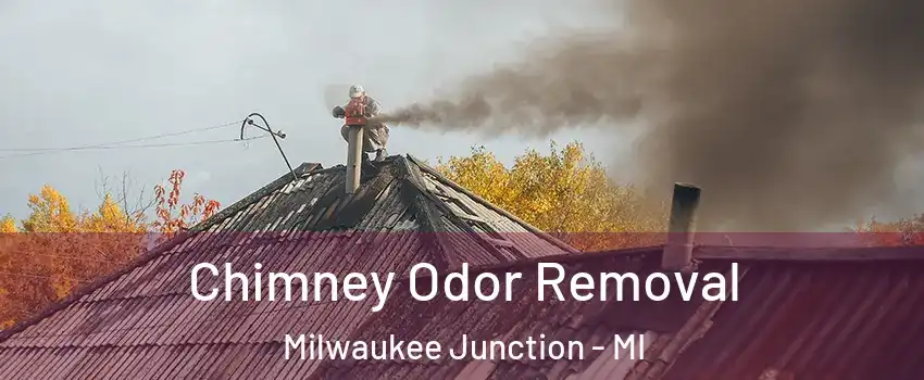 Chimney Odor Removal Milwaukee Junction - MI