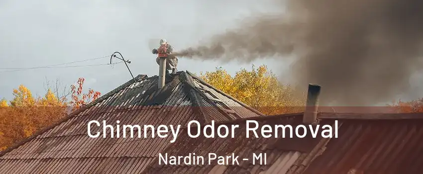 Chimney Odor Removal Nardin Park - MI