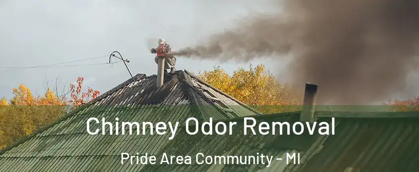 Chimney Odor Removal Pride Area Community - MI