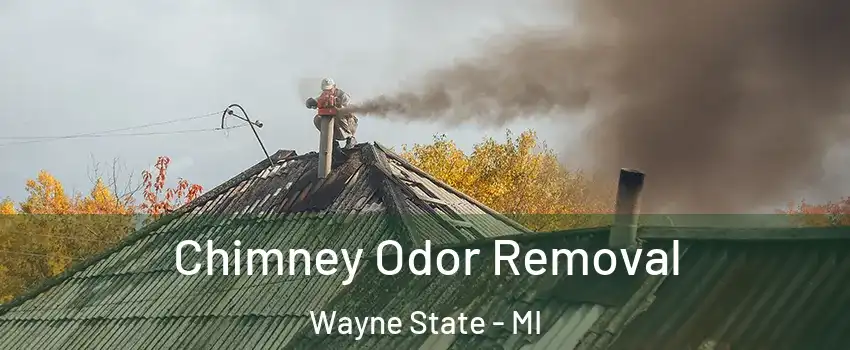Chimney Odor Removal Wayne State - MI