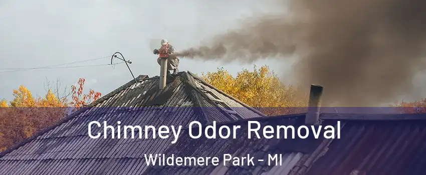 Chimney Odor Removal Wildemere Park - MI