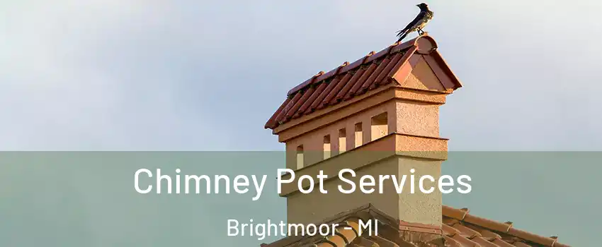 Chimney Pot Services Brightmoor - MI
