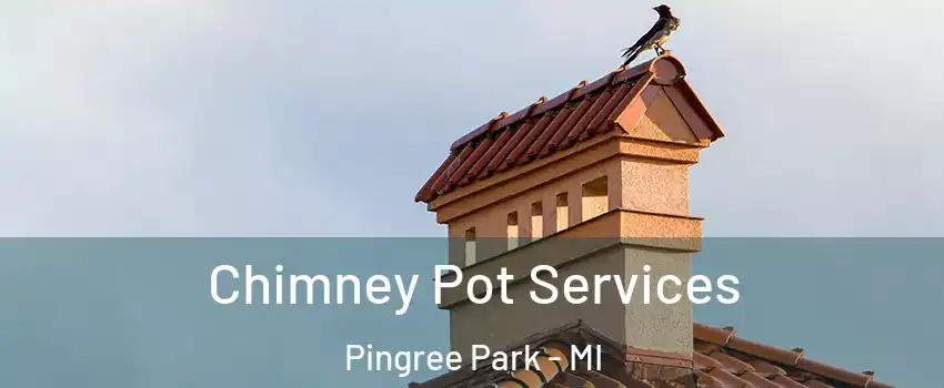 Chimney Pot Services Pingree Park - MI