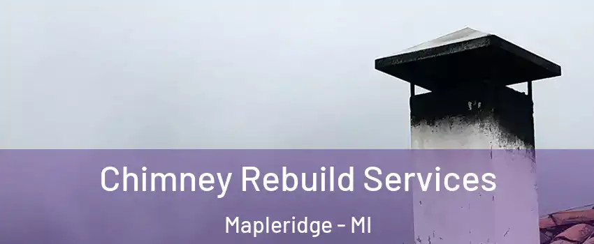 Chimney Rebuild Services Mapleridge - MI