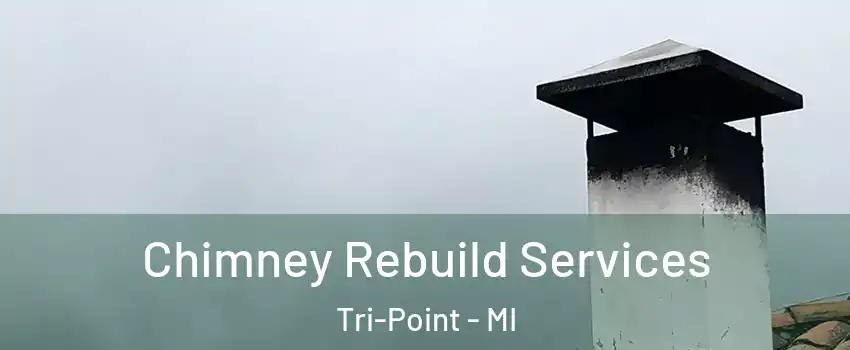 Chimney Rebuild Services Tri-Point - MI