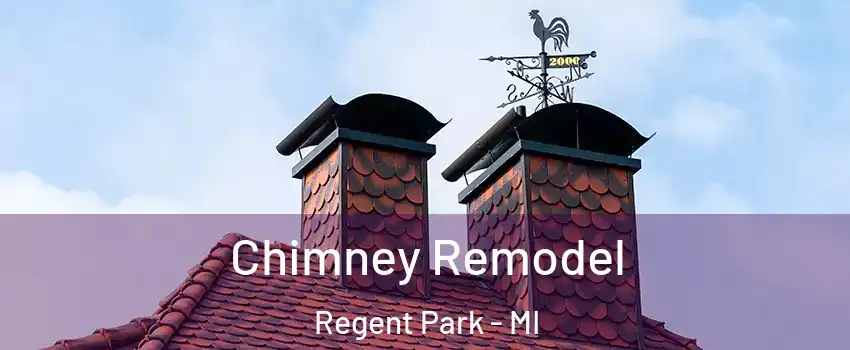 Chimney Remodel Regent Park - MI
