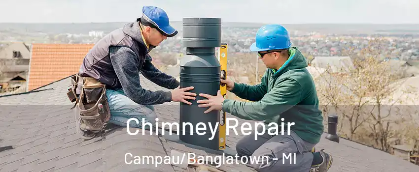 Chimney Repair Campau/Banglatown - MI