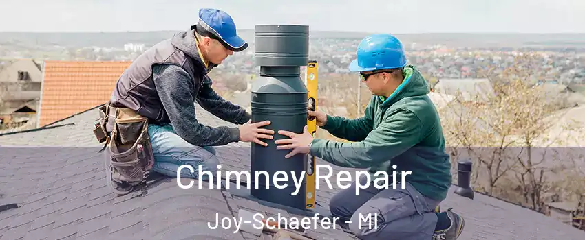 Chimney Repair Joy-Schaefer - MI