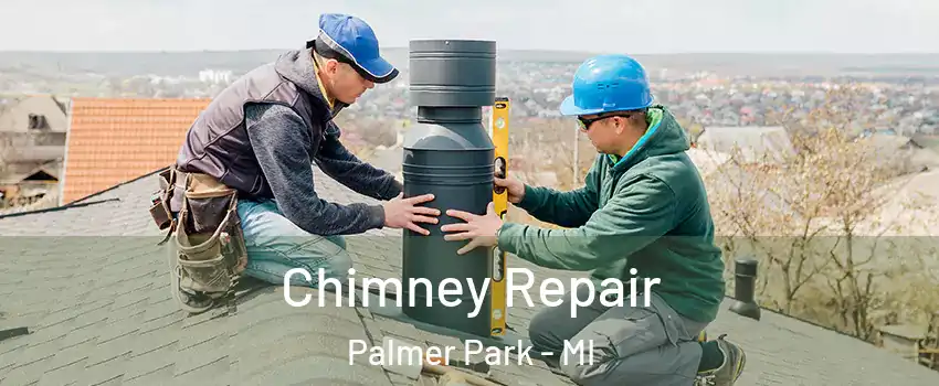 Chimney Repair Palmer Park - MI