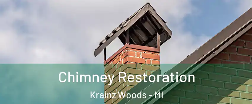 Chimney Restoration Krainz Woods - MI