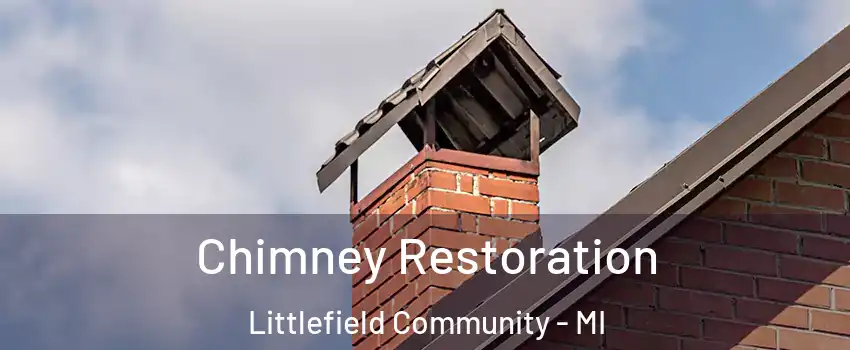 Chimney Restoration Littlefield Community - MI