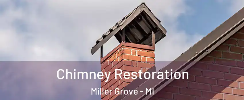 Chimney Restoration Miller Grove - MI