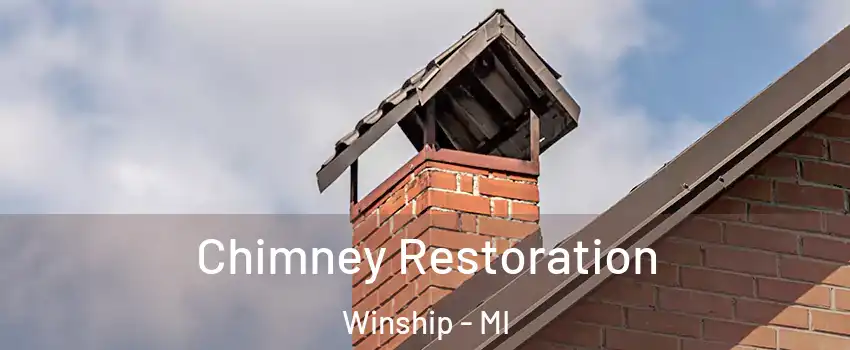 Chimney Restoration Winship - MI