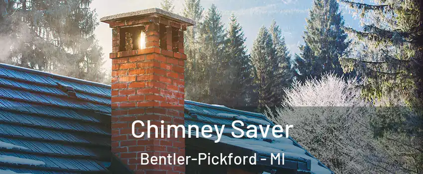 Chimney Saver Bentler-Pickford - MI