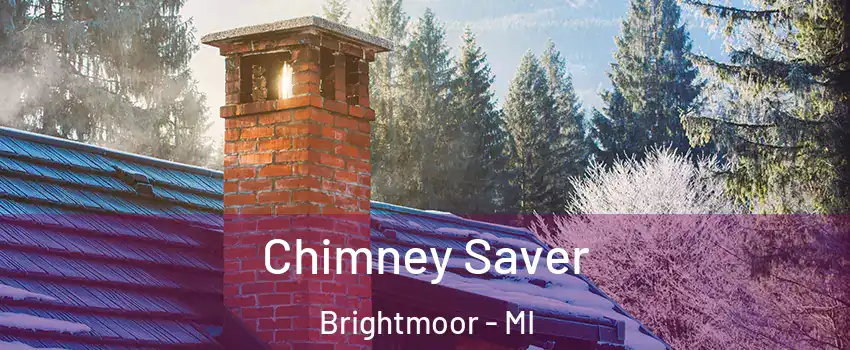 Chimney Saver Brightmoor - MI