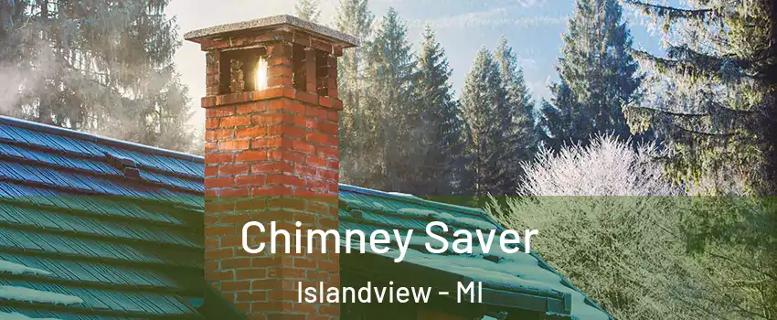 Chimney Saver Islandview - MI