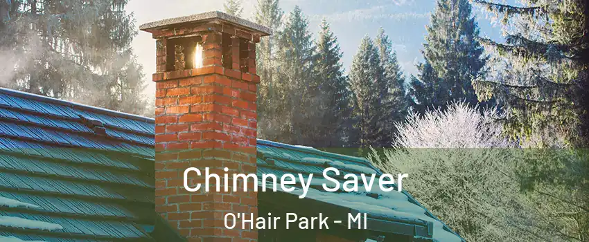 Chimney Saver O'Hair Park - MI