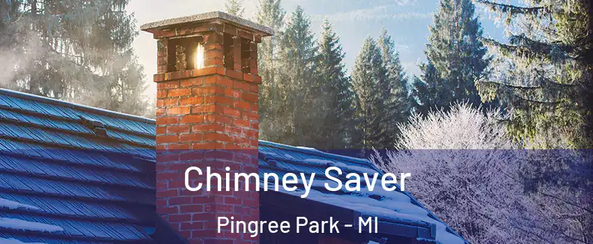 Chimney Saver Pingree Park - MI