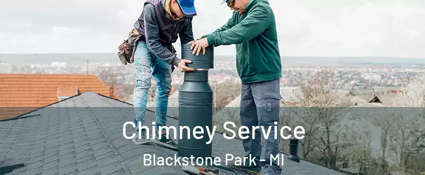 Chimney Service Blackstone Park - MI