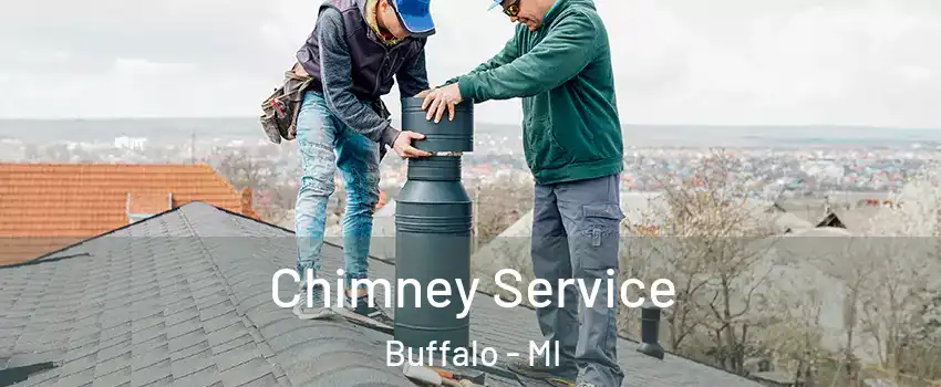 Chimney Service Buffalo - MI