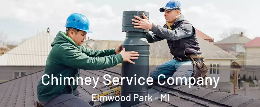 Chimney Service Company Elmwood Park - MI