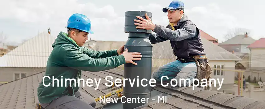 Chimney Service Company New Center - MI