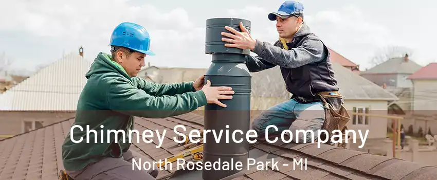 Chimney Service Company North Rosedale Park - MI