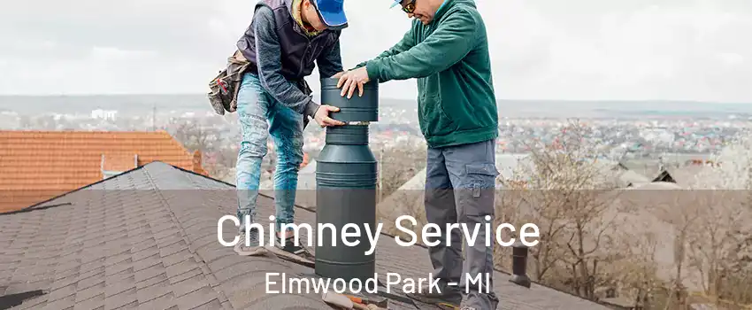 Chimney Service Elmwood Park - MI