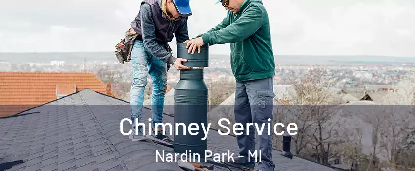 Chimney Service Nardin Park - MI