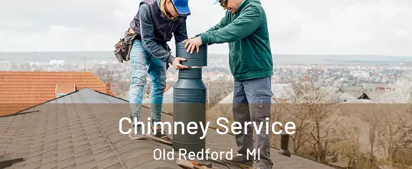 Chimney Service Old Redford - MI