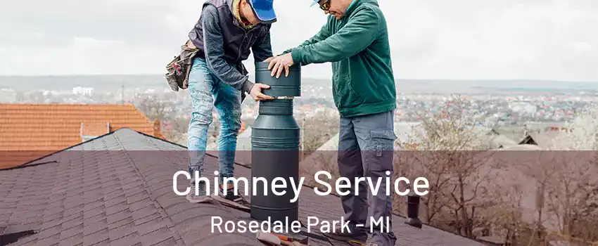 Chimney Service Rosedale Park - MI